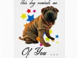 Shar Pei Birthday Card Birthday Card with Cute Shar Pei Humourous Card Zazzle