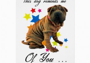 Shar Pei Birthday Card Birthday Card with Cute Shar Pei Humourous Card Zazzle