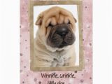 Shar Pei Birthday Card Chinese Shar Pei Birthday Humor Greeting Card Zazzle