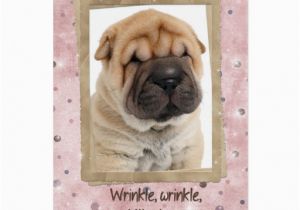 Shar Pei Birthday Card Chinese Shar Pei Birthday Humor Greeting Card Zazzle