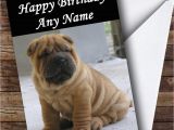 Shar Pei Birthday Card Cute Shar Pei Dog Personalised Birthday Card the Card Zoo