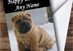Shar Pei Birthday Card Cute Shar Pei Dog Personalised Birthday Card the Card Zoo