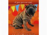 Shar Pei Birthday Card Fun Shar Pei Birthday Card with Birthday Humor Zazzle