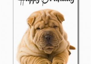 Shar Pei Birthday Card Happy Birthday Chinese Shar Pei Puppy Dog Card Post Card