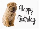 Shar Pei Birthday Card Happy Birthday Chinese Shar Pei Puppy Dog Card Postcard