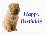 Shar Pei Birthday Card Happy Birthday Chinese Shar Pei Puppy Dog Card Postcard