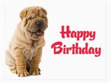 Shar Pei Birthday Card Happy Birthday Chinese Shar Pei Puppy Dog Card Postcard