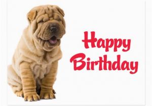 Shar Pei Birthday Card Happy Birthday Chinese Shar Pei Puppy Dog Card Postcard