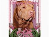 Shar Pei Birthday Card Happy Birthday Mom Shar Pei Lucky Card Zazzle