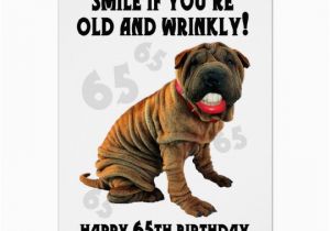 Shar Pei Birthday Card Humourous Shar Pei Old and Wrinkly Birthday Card Zazzle Ca