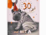 Shar Pei Birthday Card Shar Pei Puppy 30th Birthday Card Clintons