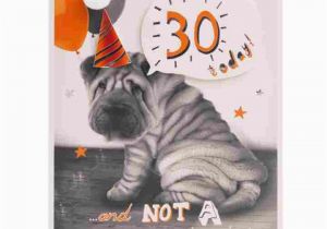 Shar Pei Birthday Card Shar Pei Puppy 30th Birthday Card Clintons