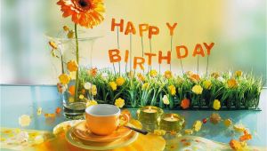 Shareable Birthday Cards 100 Cute Happy Birthday Quotes Wishes for Friends and Family