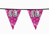 Sharechat Happy Birthday Banner New New Sweet 16 16th Happy Birthday Party Hanging Bunting