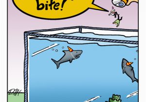 Shark Tank Birthday Cards Happy Birthday Chum Nobrow Cartoons