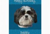 Shih Tzu Birthday Cards Birthday Daddy Shih Tzu Dog Greeting Card Zazzle