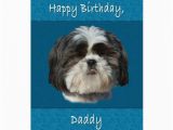 Shih Tzu Birthday Cards Birthday Daddy Shih Tzu Dog Greeting Card Zazzle