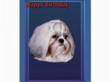 Shih Tzu Birthday Cards Birthday Greeting Card with Shih Tzu Zazzle