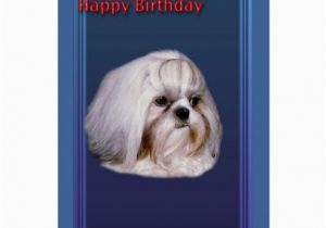 Shih Tzu Birthday Cards Birthday Greeting Card with Shih Tzu Zazzle