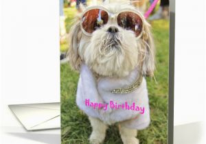 Shih Tzu Birthday Cards Dressed Up Glamor Pooch Shih Tzu Dog Birthday Card 1285436