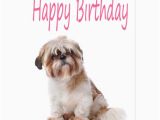 Shih Tzu Birthday Cards Happy Birthday Shih Tzu Puppy Postcard Zazzle Com