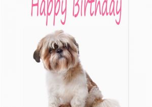 Shih Tzu Birthday Cards Happy Birthday Shih Tzu Puppy Postcard Zazzle Com