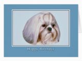 Shih Tzu Birthday Cards Shih Tzu Birthday Card Zazzle