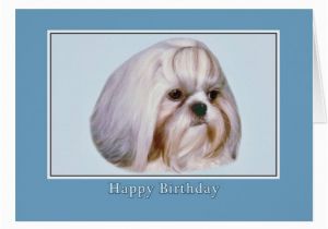 Shih Tzu Birthday Cards Shih Tzu Birthday Card Zazzle