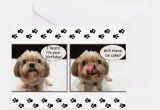 Shih Tzu Birthday Cards Shih Tzu Birthday Greeting Cards Card Ideas Sayings