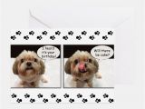 Shih Tzu Birthday Cards Shih Tzu Birthday Greeting Cards Card Ideas Sayings