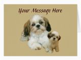 Shih Tzu Birthday Cards Shih Tzu Buddies Greeting Card Zazzle