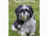 Shih Tzu Birthday Cards Shih Tzu Dog Cute Happy Birthday Greeting Card Zazzle