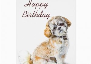 Shih Tzu Birthday Cards Shih Tzu Dog Happy Birthday Card Zazzle