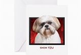 Shih Tzu Birthday Cards Shih Tzu Greeting Card by Ipooprainbows1