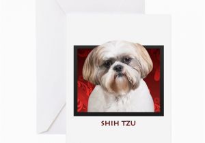 Shih Tzu Birthday Cards Shih Tzu Greeting Card by Ipooprainbows1
