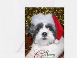 Shih Tzu Birthday Cards Shih Tzu Greeting Cards Card Ideas Sayings Designs