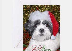 Shih Tzu Birthday Cards Shih Tzu Greeting Cards Card Ideas Sayings Designs