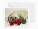 Shih Tzu Birthday Cards Shih Tzu Greeting Cards Pk Of 10 by Xtraimpress