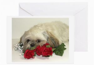 Shih Tzu Birthday Cards Shih Tzu Greeting Cards Pk Of 10 by Xtraimpress