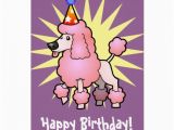 Show Me Birthday Cards Birthday Poodle Pink Show Cut Greeting Card Zazzle
