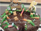 Shrek Birthday Decorations Shrek Birthday Cakes and Cupcake Ideas Hubpages