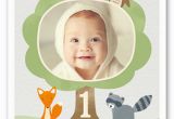 Shutterfly 1st Birthday Invitations Look whoo 39 S One Boy Birthday Invitation Shutterfly