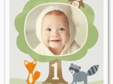 Shutterfly 1st Birthday Invitations Look whoo 39 S One Boy Birthday Invitation Shutterfly