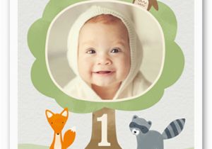 Shutterfly 1st Birthday Invitations Look whoo 39 S One Boy Birthday Invitation Shutterfly