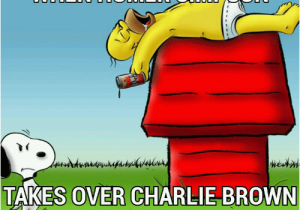 Simpsons Birthday Meme when Homer On Takes Over Charlie Brown Handcrafted by