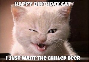 Singing Birthday Memes 20 Cat Birthday Memes that are Way too Adorable