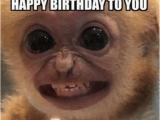 Singing Birthday Memes 25 Best Memes About Singing Happy Birthday Singing