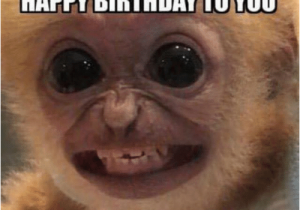 Singing Birthday Memes 25 Best Memes About Singing Happy Birthday Singing