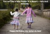 Sister In Law Birthday Meme top 30 Birthday Quotes for Sister In Law with Images