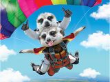 Skydiving Birthday Card 3d Holographic Birthday Card Skydiving Meerkats Funny